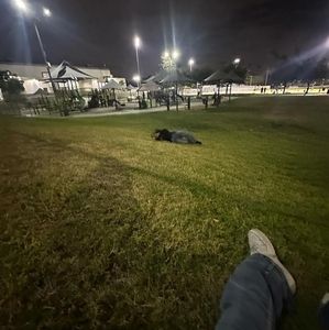 Meet your Posher, Leila